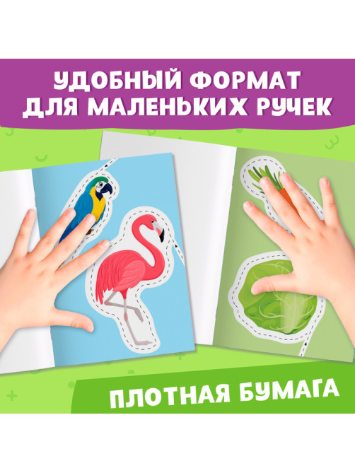Книжка - вырезалка «Мои первые вырезалки. Контуры», 3 уровень, 43 картинки, 3+