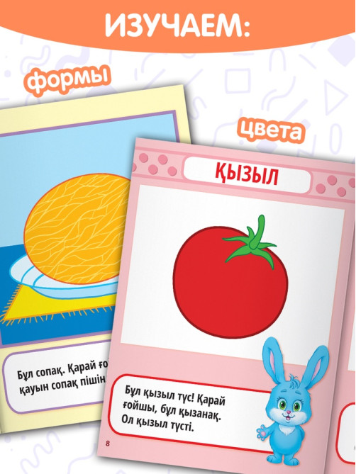 Книжное комплектное издание «Годовой курс» на казахском языке, 6 книг