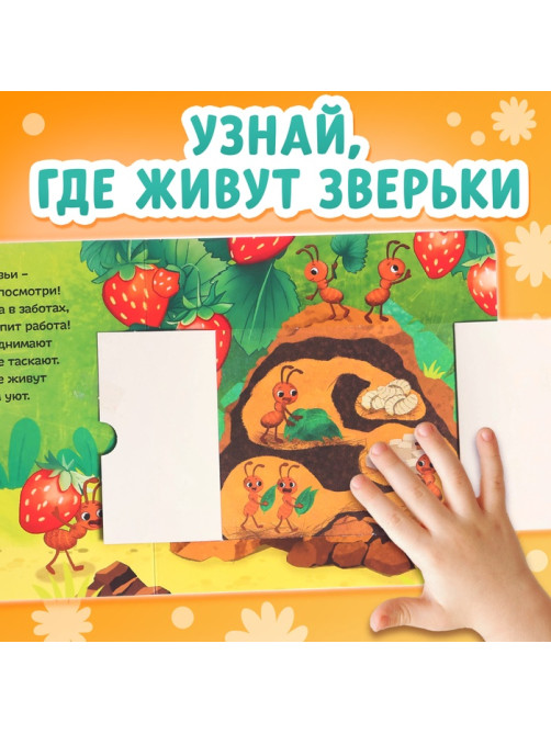 Картонные книги с окошками «Что внутри?», набор 3 шт. по 12 стр.