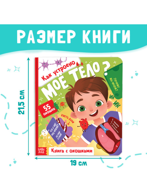 Книга с окошками «Как устроено моё тело?», 55 окошек, энциклопедия