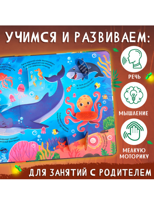 Книга с окошками «Мир животных», 50 окошек