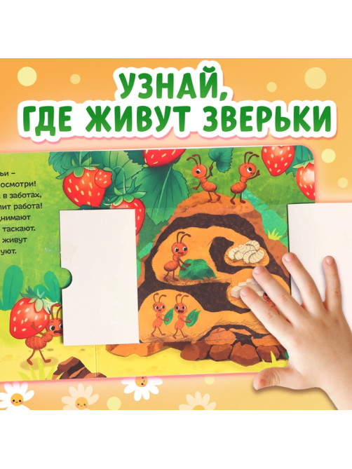 Картонная книга с окошками «Кто в домике живёт?», 12 стр.