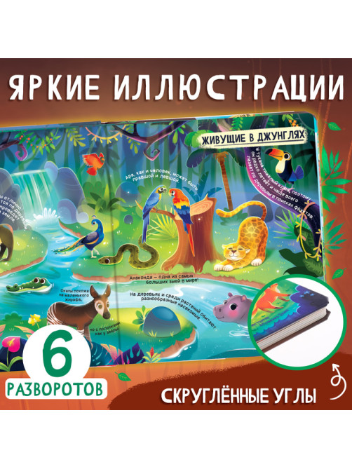 Книга с окошками «Мир животных», 50 окошек