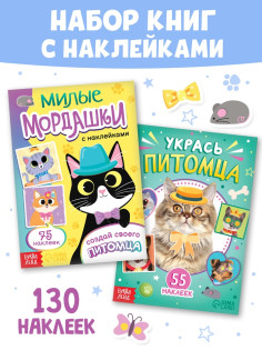 Книги с наклейками «Создай своего котика», набор 2 шт., 130 стикеров