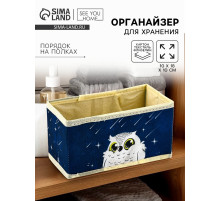 Органайзер для хранения, кофр для белья «Совушка», 10×18×10 см