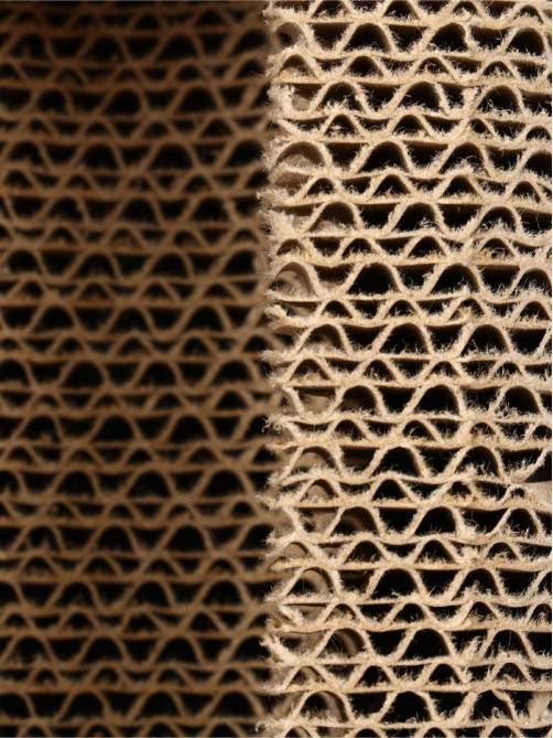 Когтеточка - игрушка «Суши», 24.5×9×6.7 см, с кошачьей мятой, гофрокартон