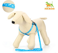 Шлейка с поводком «Классика», ОГ 21-35 см, поводок 120×1 см, капрон, голубая