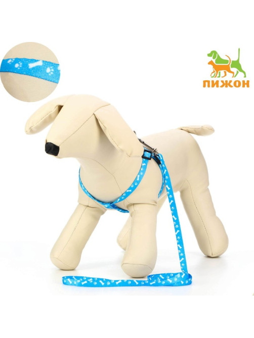 Шлейка с поводком «Классика», ОГ 21-35 см, поводок 120×1 см, капрон, голубая