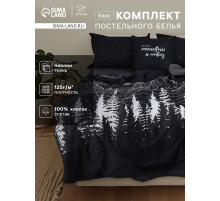 Постельное бельё евро «Этель. Полярная ночь», поплин