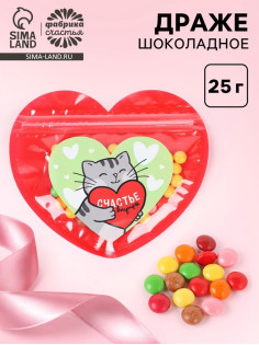 Драже шоколадное в дой-паке «Счастье внутри», 25 г