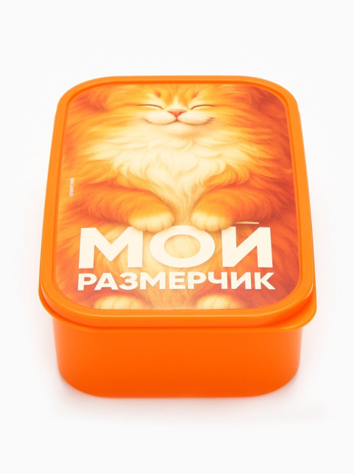 Ланч - бокс прямоугольный «Мой размерчик», 1200 мл