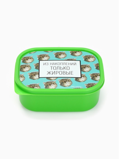 Ланч - бокс прямоугольный «Накопления», 500 мл