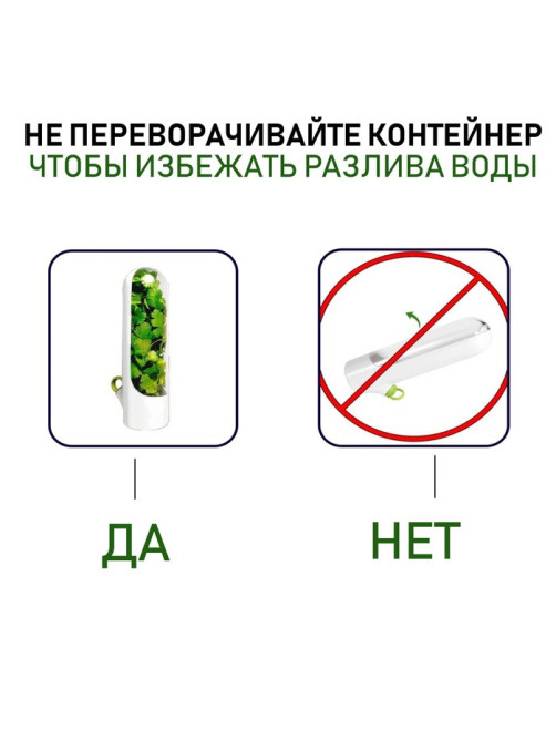 Контейнер для хранения зелени Доляна Fresh, пластик, 500 мл, белый