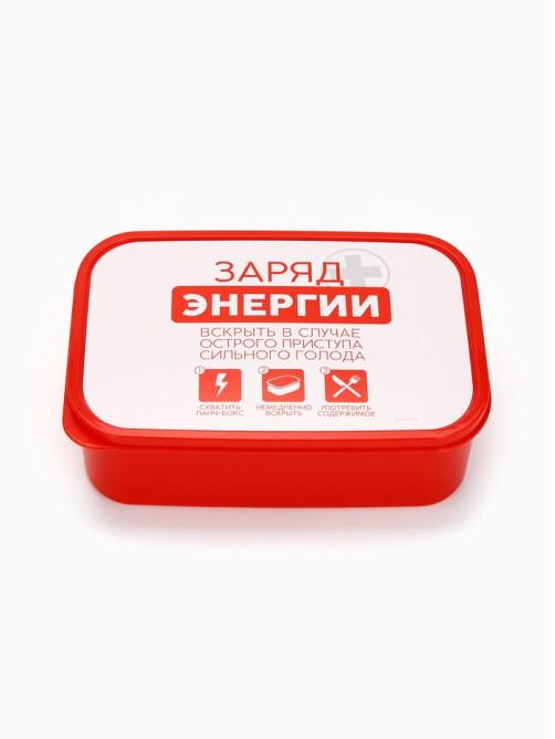 Ланч - бокс «Заряд энергии», 1200 мл