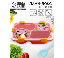 Ланч - бокс с 4 секциями «Енот», 23×17×5.5 см
