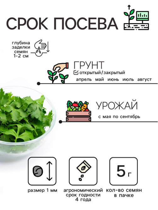 Семена Кориандр 