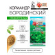 Семена Кориандр 