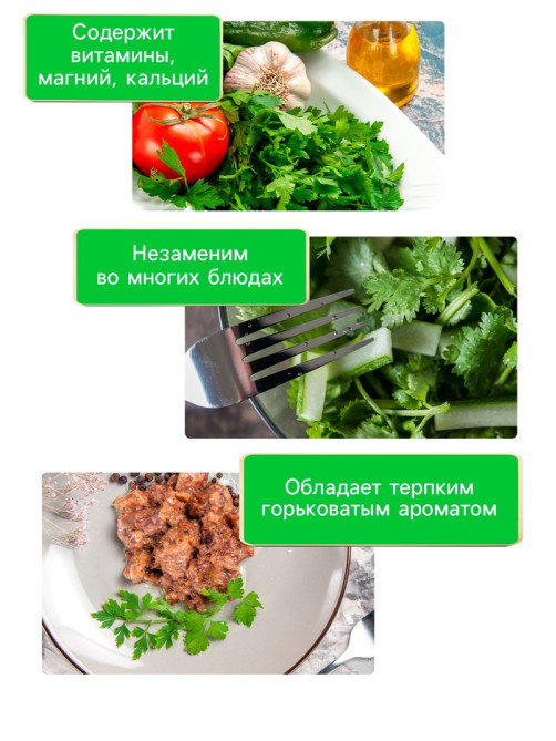 Семена Кориандр 