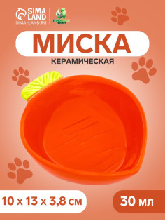 Миска «Морковь», 30 мл, 10×13×3.8 см, керамика, оранжевая