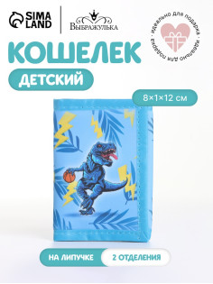 Кошелёк детский «Баскетбол» Выбражулька, на липучке, голубой