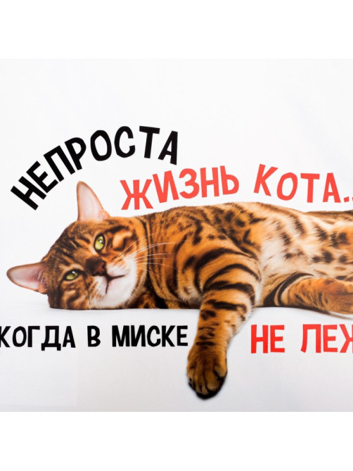 Коврик под миску «Не проста жизнь кота», 43×28 см
