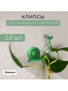 Крепления для вьющихся растений, настенные, самоклеящиеся, «Улитка», d=10 мм, набор 10 шт., Greengo