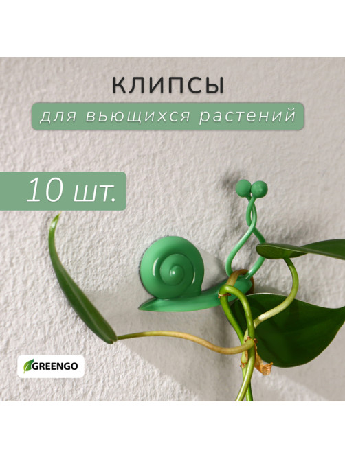 Крепления для вьющихся растений, настенные, самоклеящиеся, «Улитка», d=10 мм, набор 10 шт., Greengo