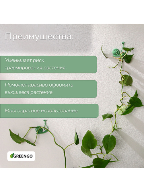 Крепления для вьющихся растений, настенные, самоклеящиеся, «Улитка», d=10 мм, набор 10 шт., Greengo