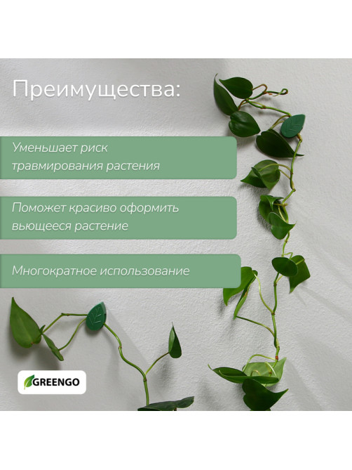Крепления для вьющихся растений, самоклеящиеся, «Листок», набор 10 шт., Greengo
