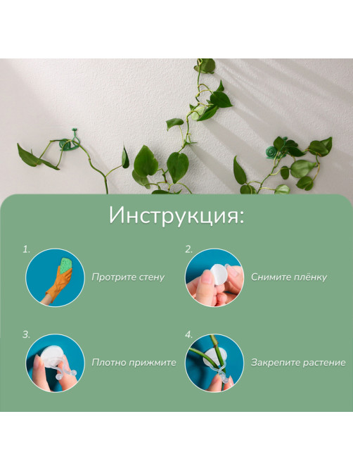 Крепления для вьющихся растений, настенные, самоклеящиеся, «Улитка», d=10 мм, набор 10 шт., Greengo