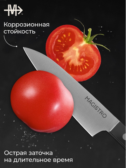 Нож кухонный овощной Magistro Hinshitsu, нержавеющая сталь, лезвие 10.6 см, длина 24 см, чёрный