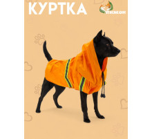 Куртка для собак, с подкладом, размер S, ДС 25, ОГ 34 см, вес 2-4 кг, оранжевая