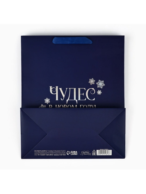 Пакет подарочный новогодний «Чудес в Новом году», голография, ML 23×11.5×27 см