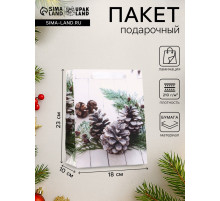 Пакет подарочный новогодний ламинированный «Зимняя пора» 18×23×10 см
