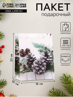 Пакет подарочный новогодний ламинированный «Зимняя пора» 18×23×10 см