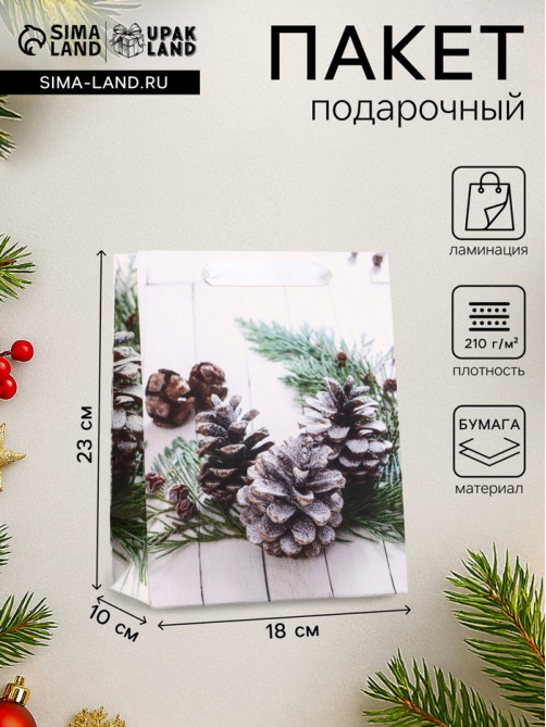 Пакет подарочный новогодний ламинированный «Зимняя пора» 18×23×10 см
