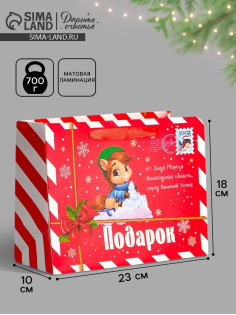 Пакет новогодний ламинированный подарочный «Новый год», MS 23×18×10 см