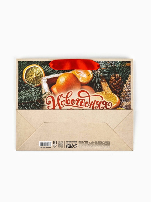Пакет подарочный новогодний бумажный, «Новогодняя сказка», 24×20×11 см