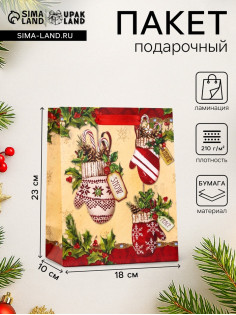 Пакет подарочный новогодний ламинированный «Новогоднее настроение» 18×23×10 см
