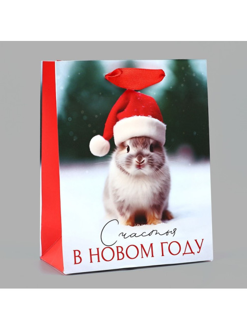 Пакет подарочный новогодний ламинированный «Счастья в Новом году», S 12×15×5.5 см