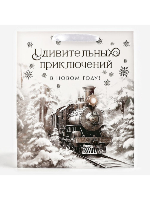 Пакет подарочный новогодний ламинированный «Приключений в новом году», тиснение, ML 23×27×11.5 см