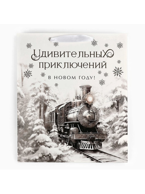 Пакет подарочный новогодний ламинированный «Приключений в новом году», тиснение, ML 23×27×11.5 см