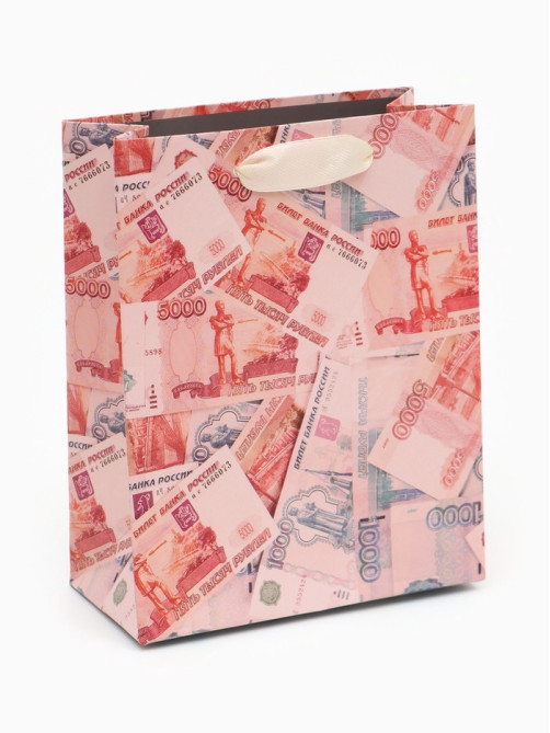 Пакет подарочный «Деньги», 12×15×5.5 см