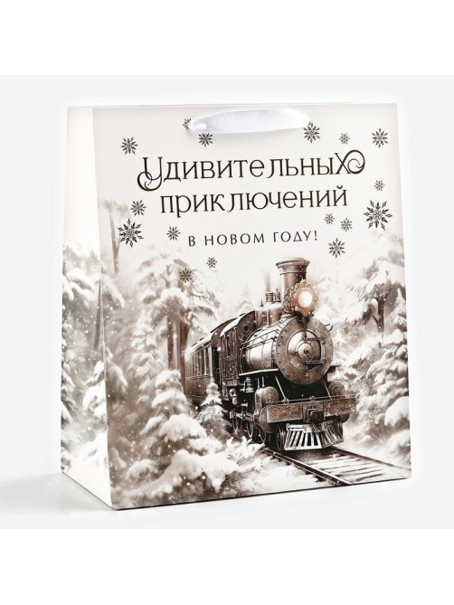 Пакет подарочный новогодний ламинированный «Приключений в новом году», тиснение, ML 23×27×11.5 см