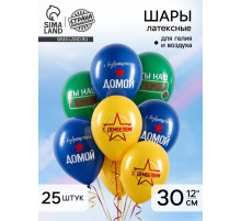 Воздушный шар латексный 12