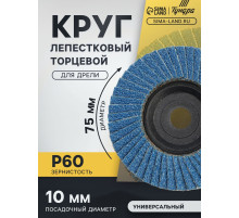 Круг лепестковый торцевой ТУНДРА, 75×10 мм, Р60