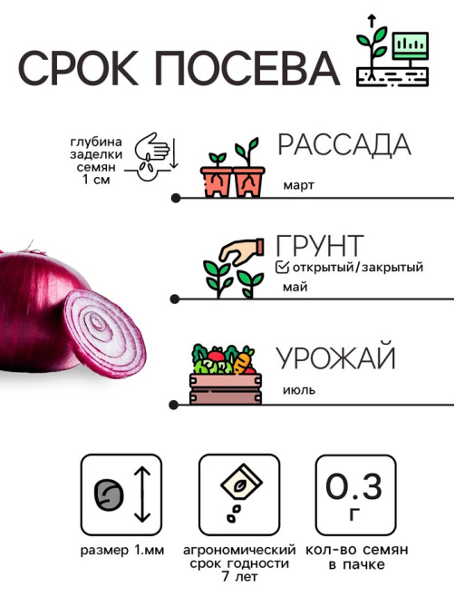 Семена Лук репчатый «Красный», 0.3 г, «Рецепты дедушки Никиты»
