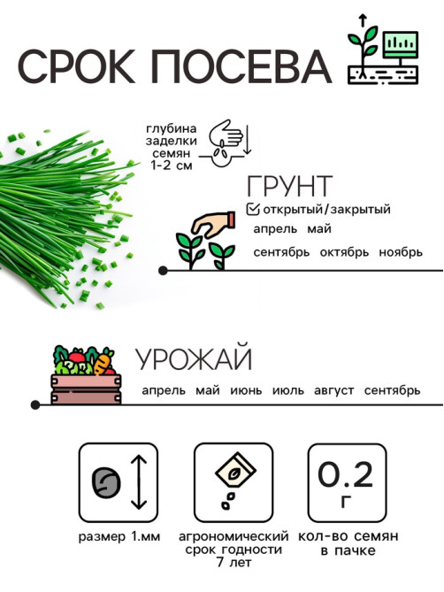 Семена Лук шнитт «Чемал», 0.2 г, «Рецепты дедушки Никиты»