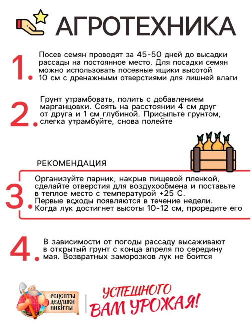 Семена Лук шнитт «Чемал», 0.2 г, «Рецепты дедушки Никиты»