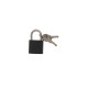 Замок навесной ТУНДРА OneKey001, 25 мм, с одной секретностью, 2 ключа